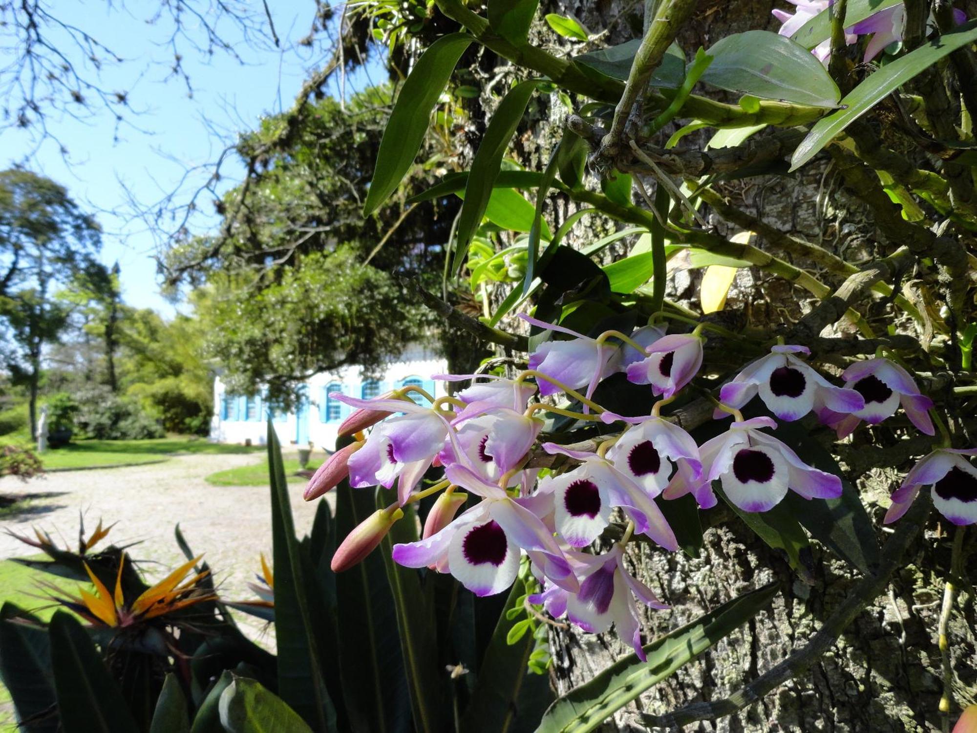 Charqueada Santa Rita Pousada De Charme เปโลตัส ภายนอก รูปภาพ